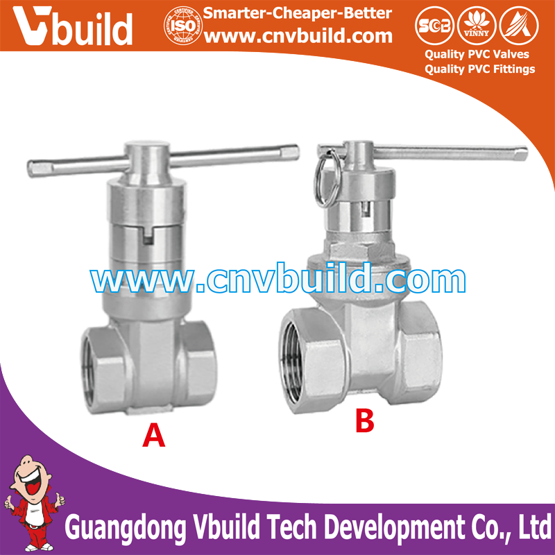 ST10: STAINLESS STEEL Internal / Extermal  Thread Magnetic Gate Valve