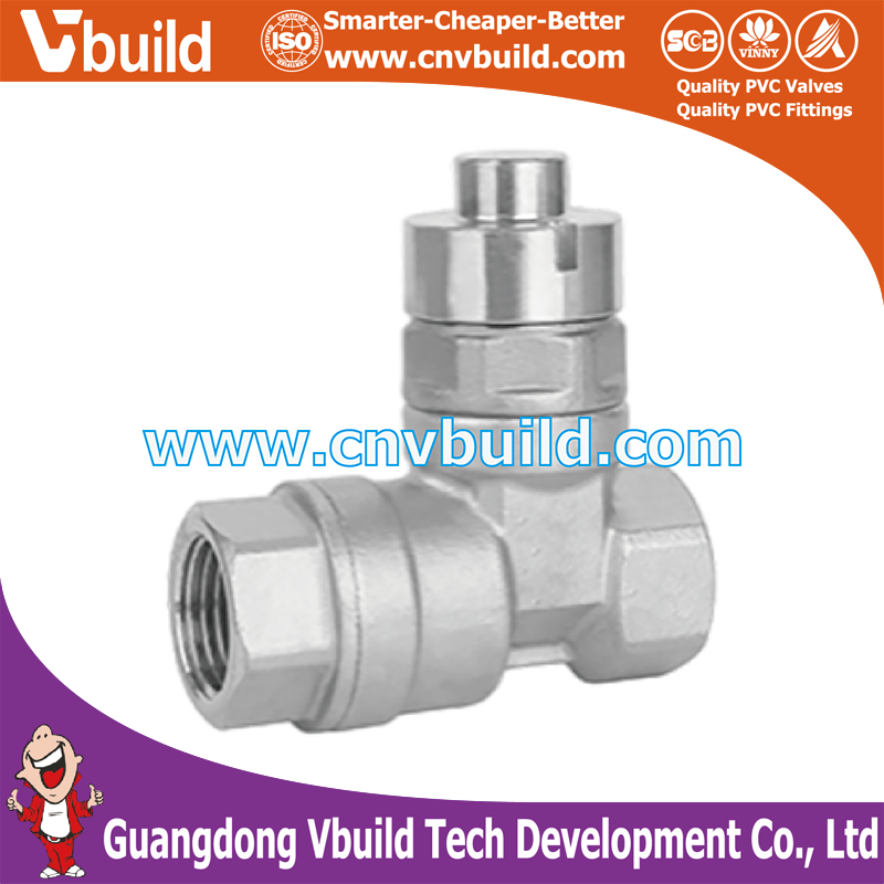 ST11: STAINLESS STEEL Check Magnetic Gate Valve